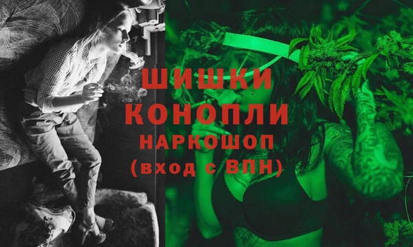 крисы Аркадак