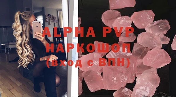 сатива Осташков