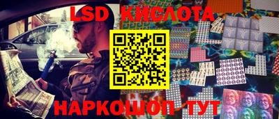 гашик Волжский