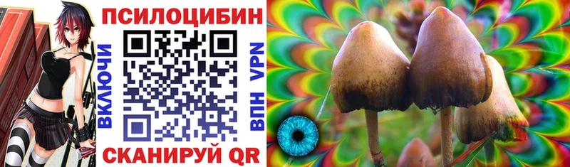 мега как войти  Ахтубинск  Псилоцибиновые грибы мухоморы  наркота 