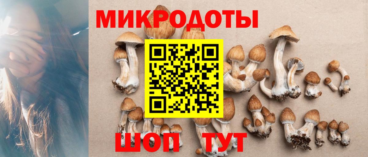Галлюциногенные грибы мицелий Ахтубинск