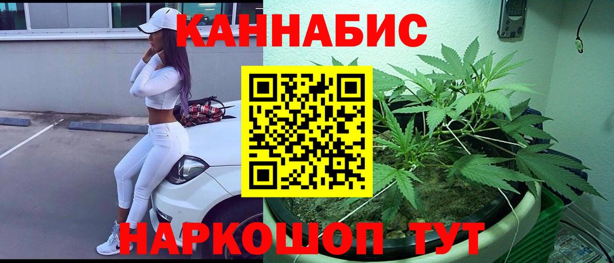 Конопля AK-47  Вход с VPN  Ахтубинск  Бошки Шишки White Widow 